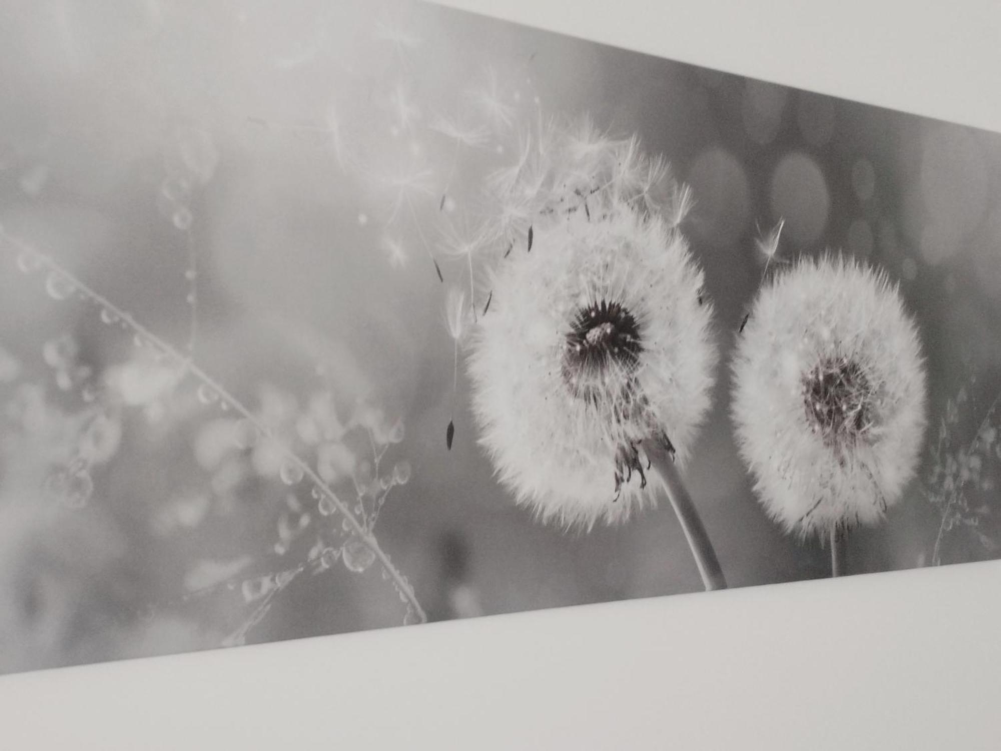 Appartamento Nonna Milde Assisi Esterno foto